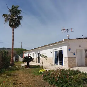 La Rana Azul Vélez